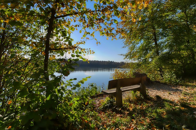 不得不提到 不得不提到