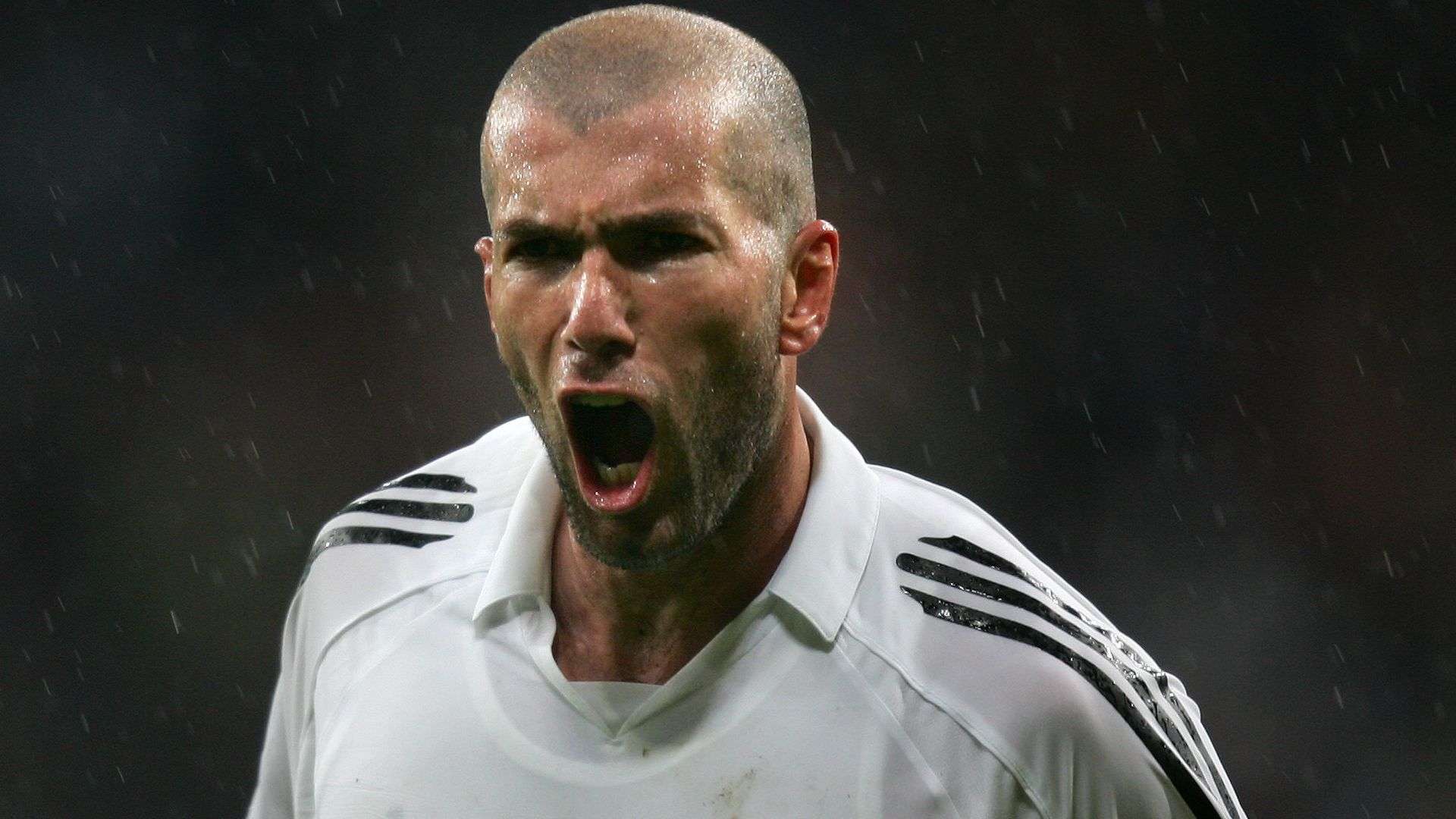 份持之以恒 份持之以恒